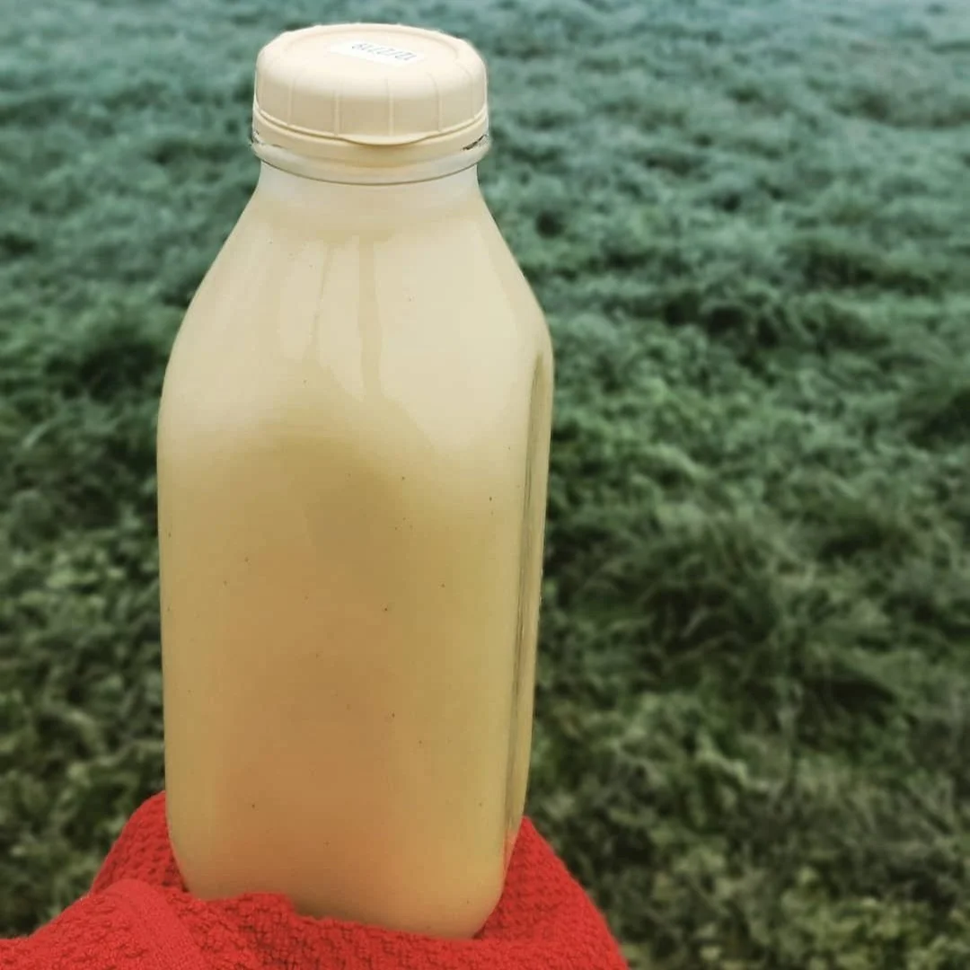 80388621_2542467175983964_4365479440545742848_n Close-up of a bottle filled with creamy beverage, held in a red cloth against a backdrop of frosty grass, showcasing natural, farm-fresh ingredients. Ideal for promoting organic drinks or dairy products.