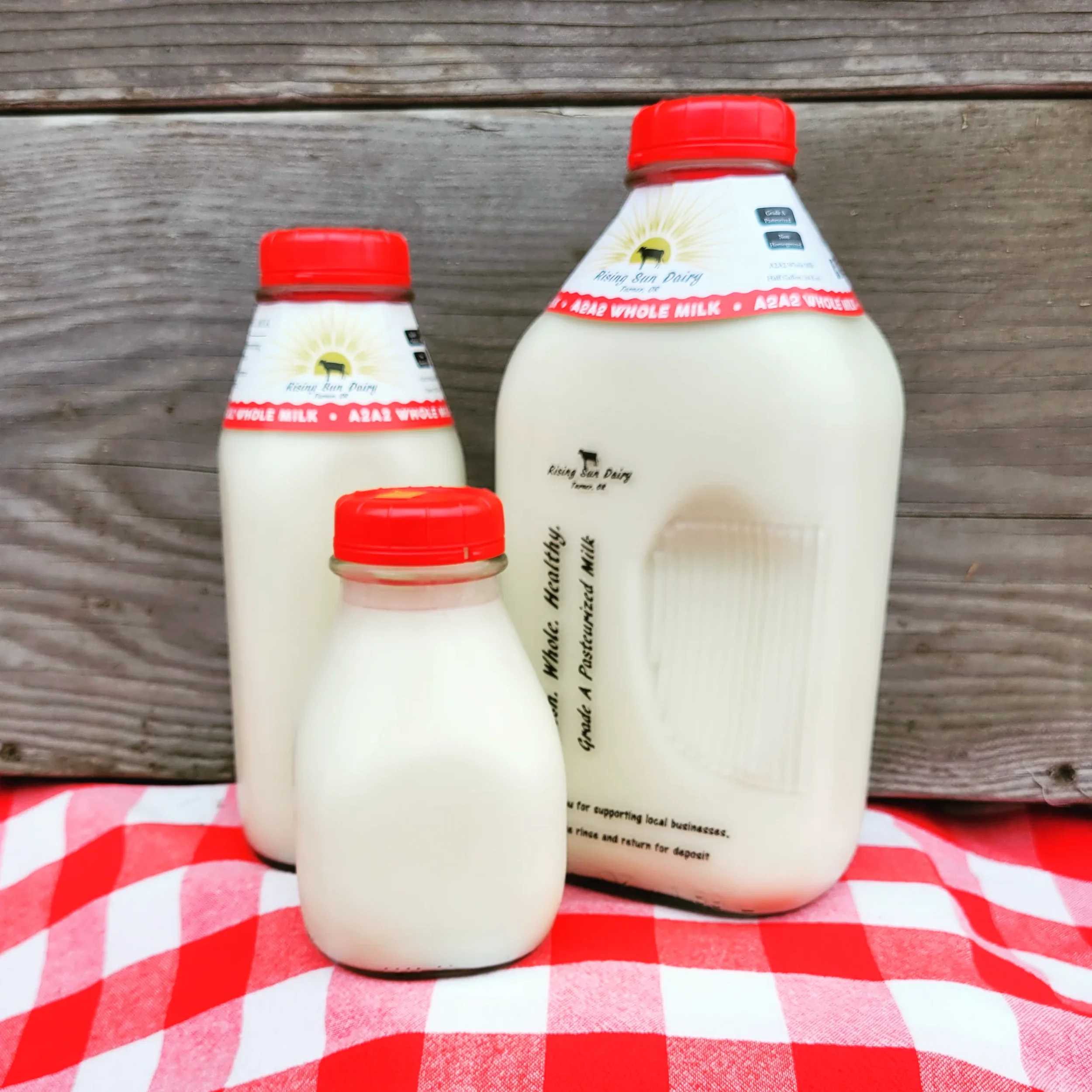 IMG_20220111_102201_926 Three bottles of whole milk from Rising Sun Dairy, featuring a large gallon jug and two smaller containers, set against a rustic wooden background and a red checkered tablecloth. The labels highlight the product as pasteurized and promote local dairy farming.