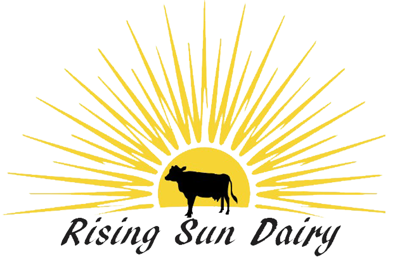 Logo of Rising Sun Dairy featuring a black silhouette of a cow in front of a rising sun with radiating yellow rays, emphasizing quality dairy products and farm freshness.